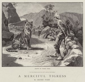 En barmhjertig Tigress